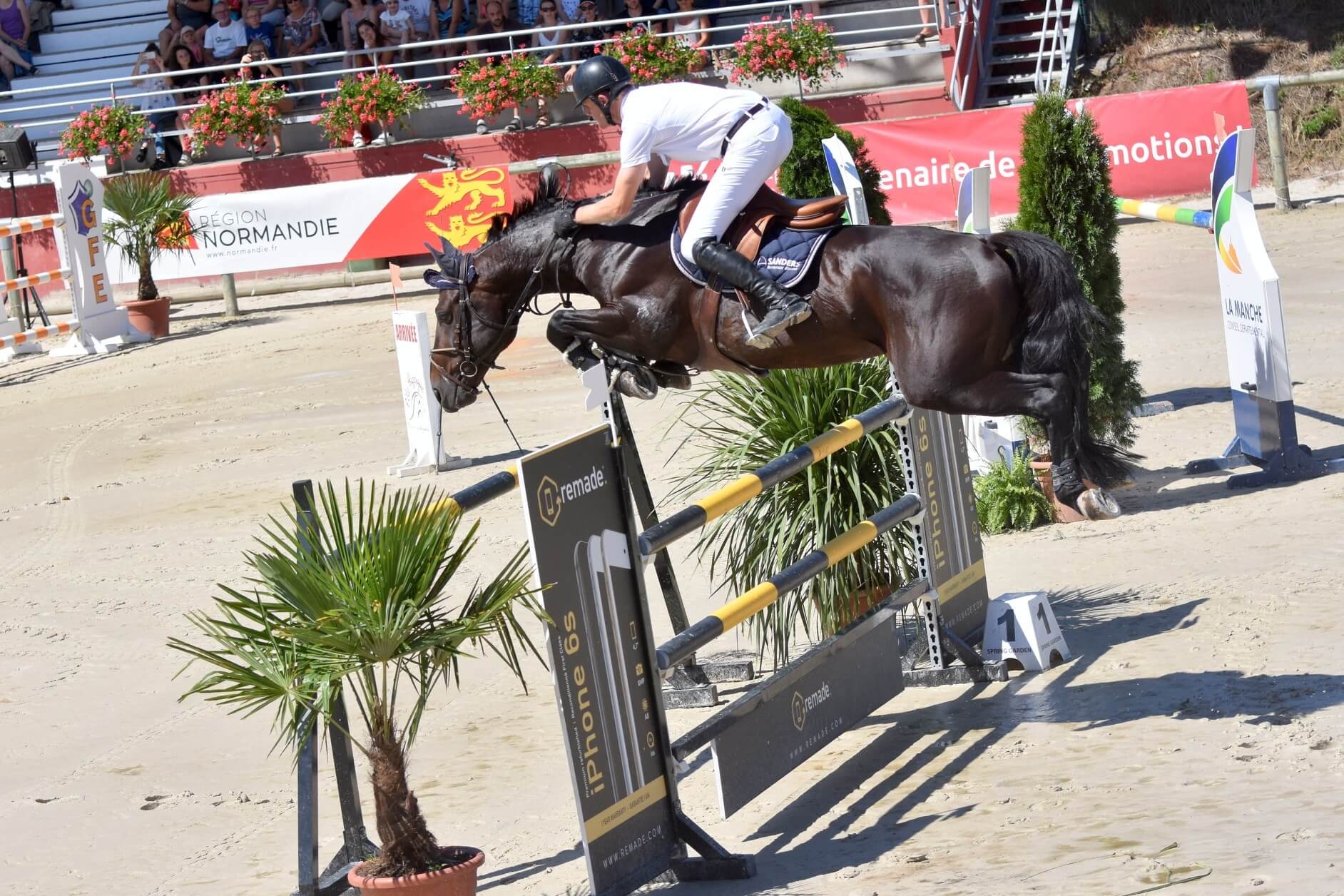 Photo de UPSILLON D'ELLE