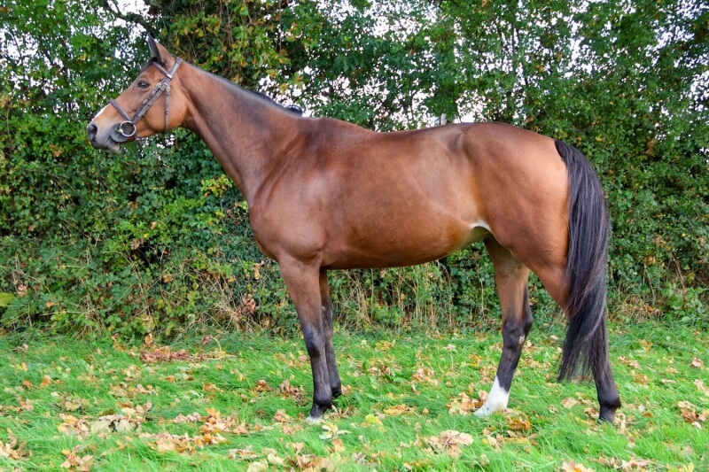 Photo de GRACIEUSE D'ELLE