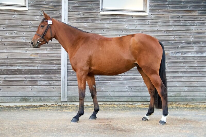 Photo de JADE D'ELLE