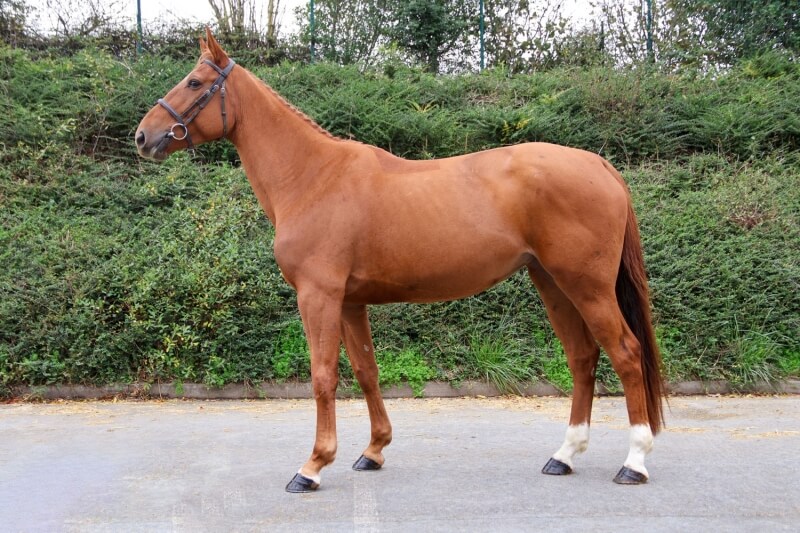 Photo de JUNTE D'ELLE