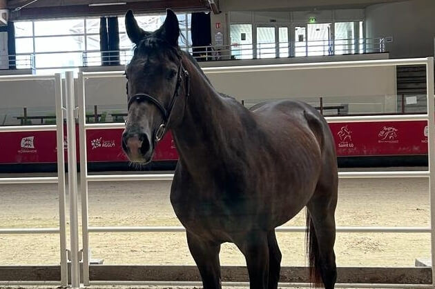 Photo de LONDON D'ELLE