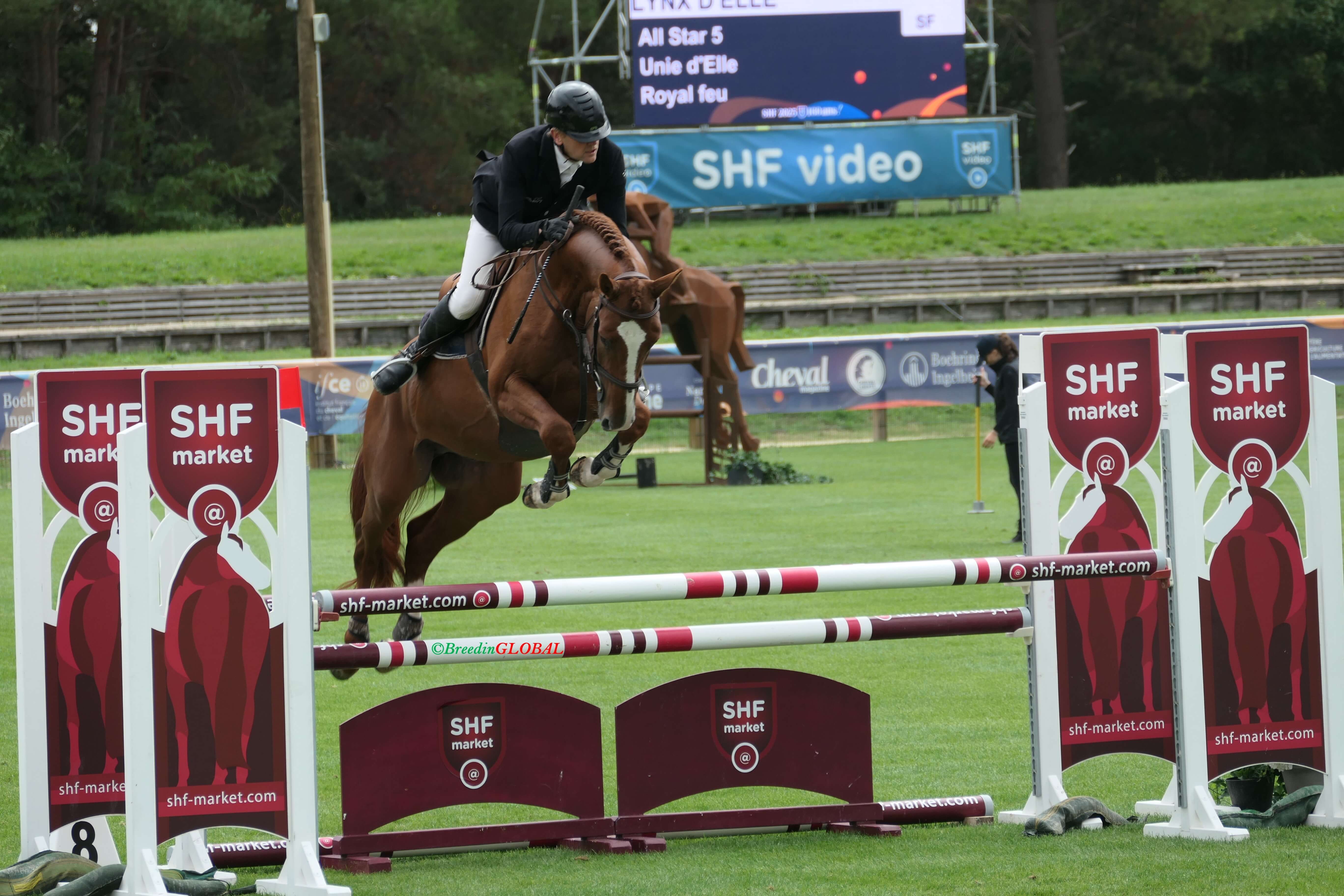 Photo de LYNX D'ELLE