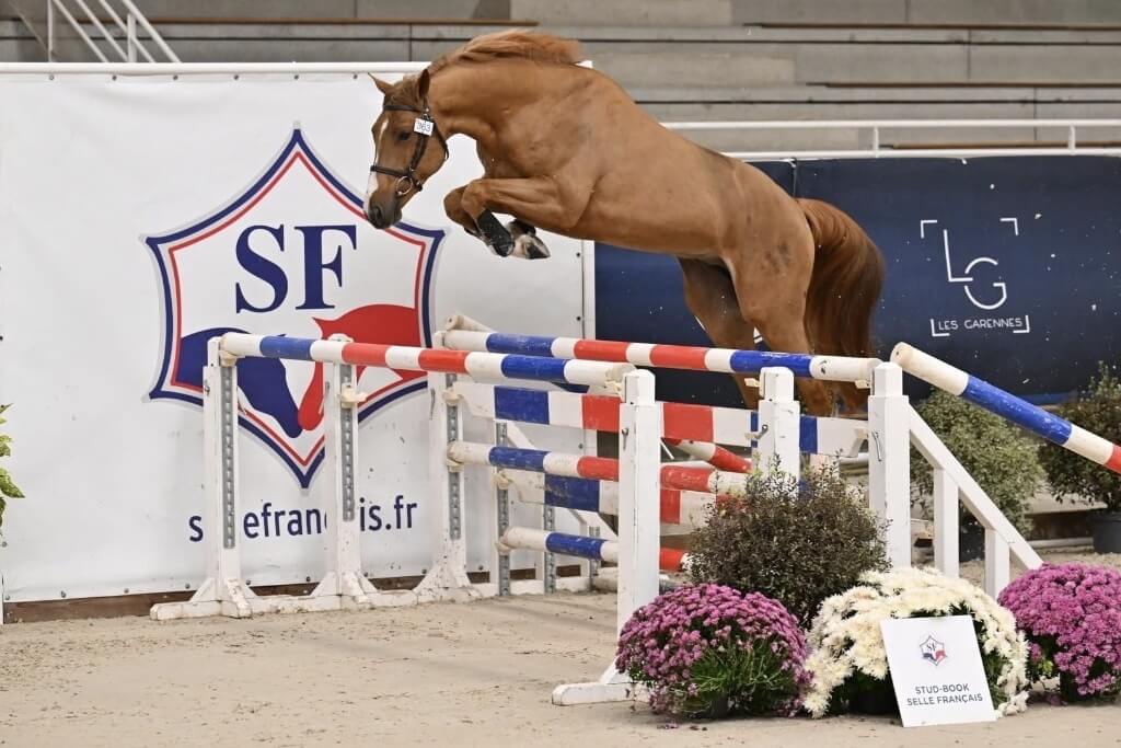 Photo de MAGIC D'ELLE