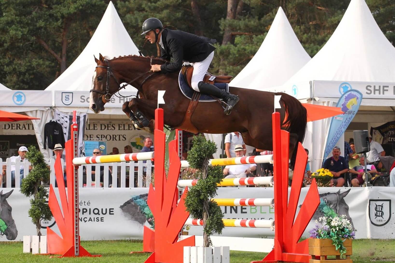 Photo de ATHOS D'ELLE