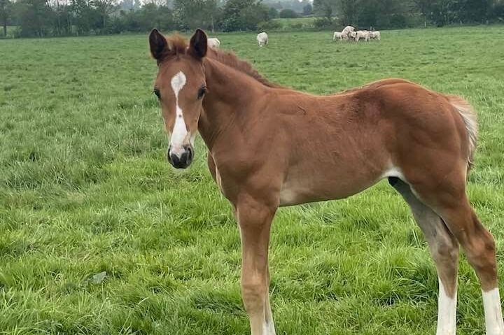 Sevrage : un beau cru pour 2022!